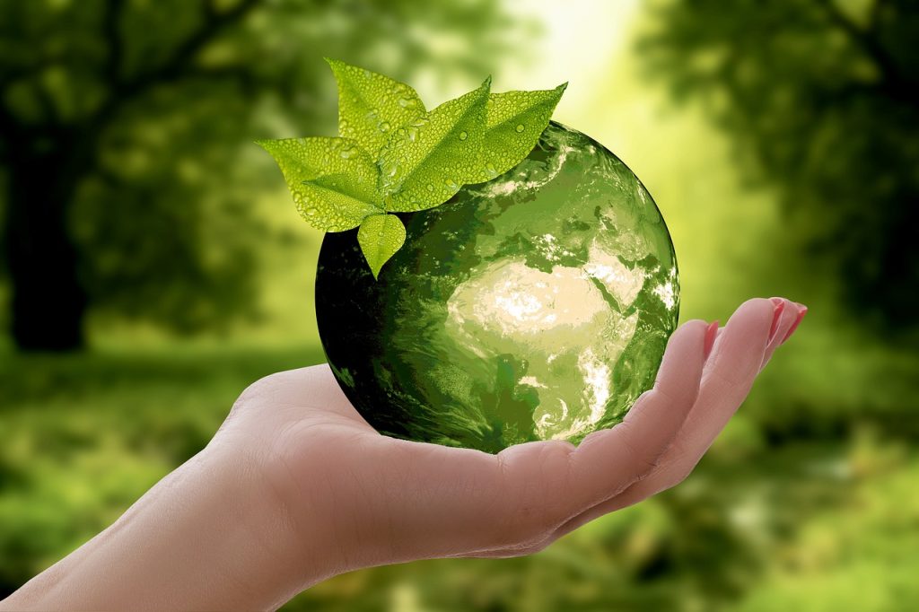 Sustainability Platform for Apparel & Footwear